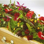 Funeral Flowers - Exotic casket spray