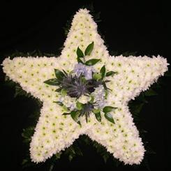 Funeral Flowers - Beautiful Star Tribute