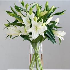 Lovely Lily Bouquet