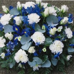 Funeral Flowers Gentle White and Blue Posy