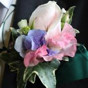Large Buttonhole