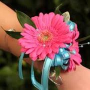 Mixed Cerise &amp; Blue Wrist Corsage