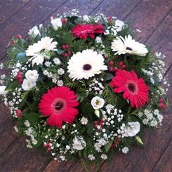 Funeral Flowers Germini red and white posy