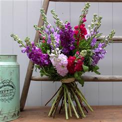 Bouquet of Scented Stocks