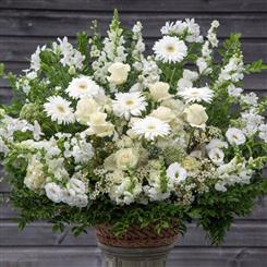 Ginger Lily Flowers - Beautiful White Country Basket