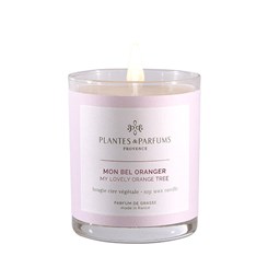 My Lovely Orange Tree Scented Candle