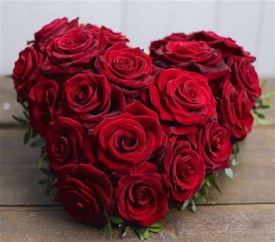 Download Classic Red Rose Collection - The Red Rose Heart