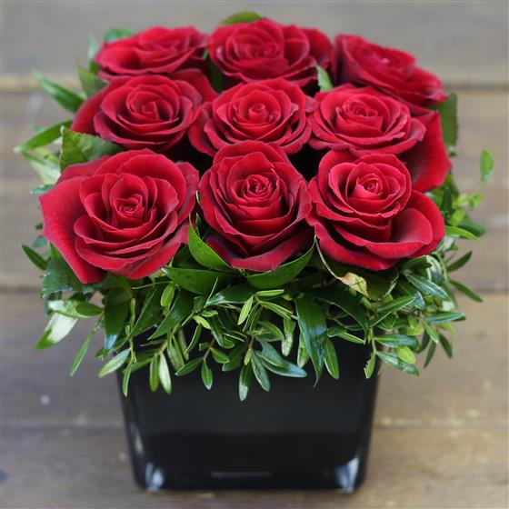 Classic Red Rose Collection The Timeless Red Rose Cupid Cube