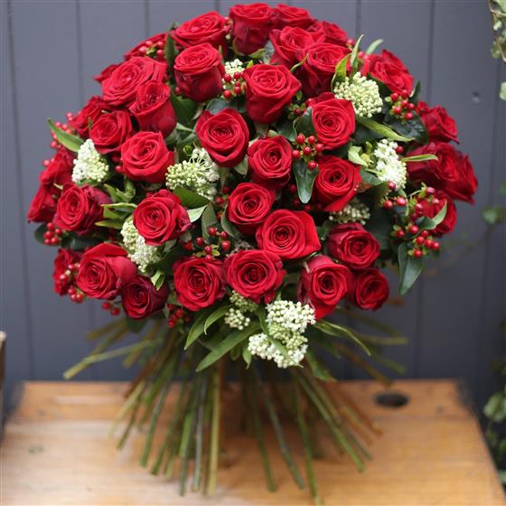 50 Red Roses | Brighton Florists | Ginger Lily Florists 01273 504904