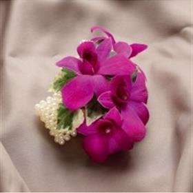 fwthumbdendrobium-corsarge.jpg