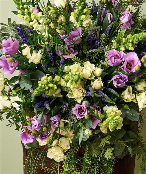 Ginger Lily Flowers Brighton Seasonal Delight